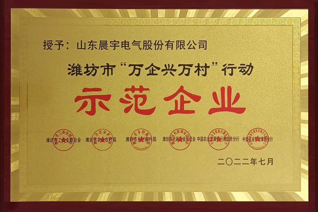 Various social and community initiatives, such as Weifang City´s "Thousands of Enterprises Help Thousands of Villages" action